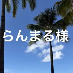 らんまる様 リクエスト 2点 まとめ商品