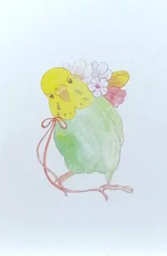 【原画アレンジ　手仕事】　セキセイインコ　黄緑　おめかし　ポストカード