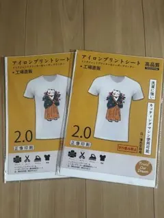 TransOurDream アイロンプリントシートA4×10枚白・薄色生地用