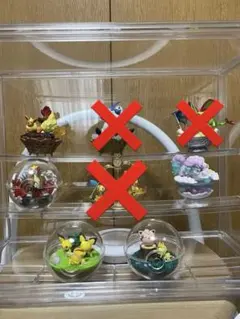 ポケモン　リーメント