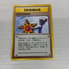 コンソメWパンチ様 リクエスト 2点 まとめ商品