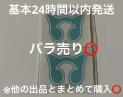 バンドリ ガルパ RAISE A SUILEN RAS 特典 ボディシール2枚