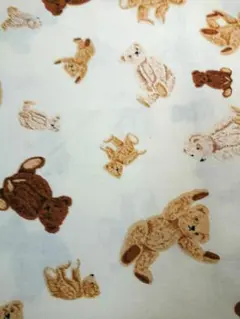 Item thumbnail for item c3e0db4a-3d98-4877-9a1d-270647c4c5dd