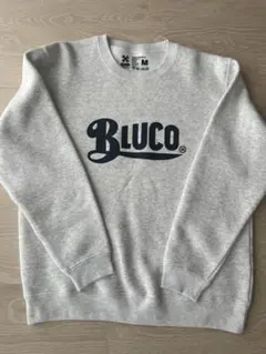 Item thumbnail for item 054131f3-3577-4bde-b632-fa0d2836cf01