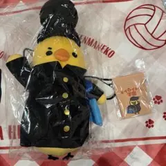 2025年最新】アコガレスタイルヌイグルミの人気アイテム - メルカリ