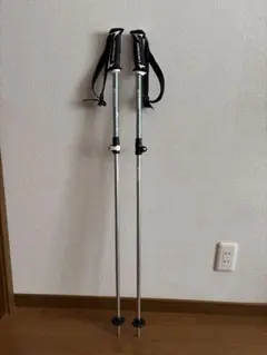 Item thumbnail for item 495b6180-44a1-4d42-bedd-bf7183af2387