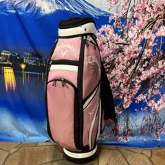 寶BK-734 BUICKキャディバッグ 5.7kg 22cm