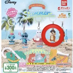ディズニーキャラクター　めじるしアクセサリー　Summer チップ
