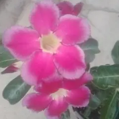 マリモꕤ︎︎·͜·プロフ必読様 リクエスト 2点 まとめ商品