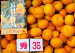 高知産　約１０ｋｇ　露地山北みかん　２Ｓ、３Ｓ　秀品　北海道沖縄発送不可 高知産 約5Kg 高糖度 温室山北みかん 3S 秀品 北海道沖縄発送不可