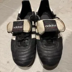 Item thumbnail for item 8d85638f-06bc-4b29-bee5-e173cba67662