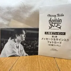 2026年最新】stray kids リノ トレカの人気アイテム - メルカリ
