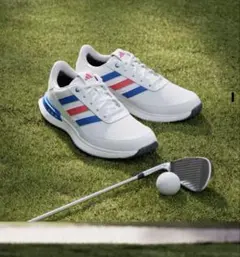新品 アディダス　ゴルフシューズ　26.5cm トリコロール