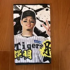 Item thumbnail for item 28566cb6-3253-4855-a59e-5d38895d457d