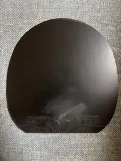 バタフライ グレイザー09c