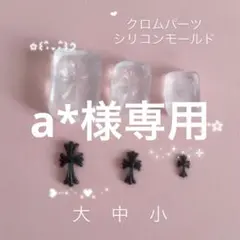 a*様専用