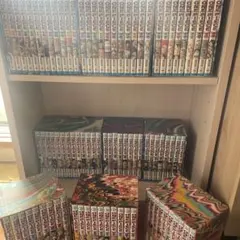 未開封 ONEPIECE ワンピース DVD 100巻突破記念 下敷き - メルカリ
