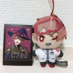 エース・トラッポラ ぬい ぱしゃこれ セット