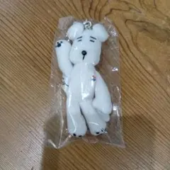 サガッシー　ニッショー　新品