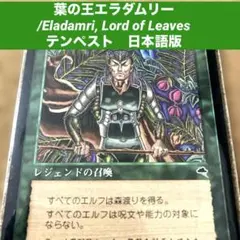 2026年最新】葉の王エラダムリーの人気アイテム - メルカリ