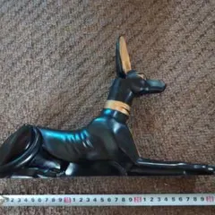 飼い主さん