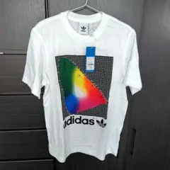 Item thumbnail for item 9c585a6a-8967-4ddf-8ef2-cb12923de876