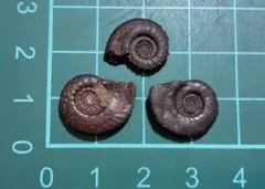 k o様 リクエスト 4点 まとめ商品