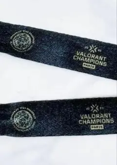 VALORANT CHAMPIONS PARIS リストバンド(リボン) VCT