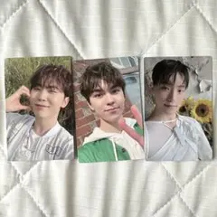 マンネズ　メンバーシップ