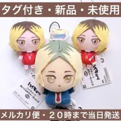 ハイキュー‼︎ ぬいぐるみちゃーむ 孤爪 研磨 サンリオキャラクターズ ちびぐるみ