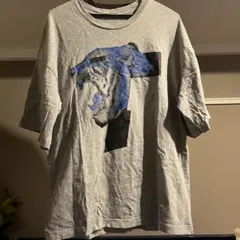 PUMA ビッグシルエットtシャツ