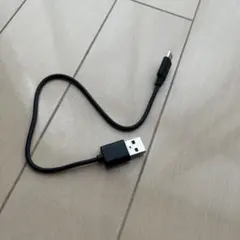 USB-A to USB-Cケーブル 25cm 黒