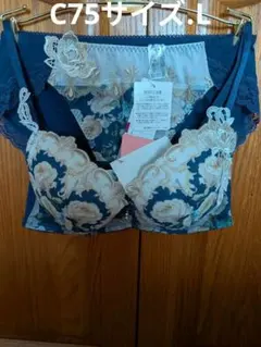 ワコール、Lge、ハッピーフイットブラC75、レギュラーショーツL。