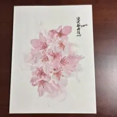 SnowMan/ 滝沢歌舞伎ZERO FINAL パンフレット