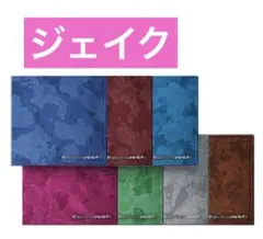 ENHYPEN 『THE SIN：VANISH』 ジェイク