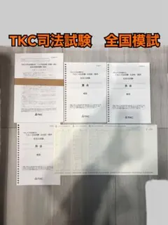 Item thumbnail for item 481c6945-2634-4e58-8cb5-8091582bb08b