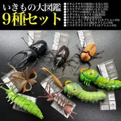 Item thumbnail for item e139b103-f4e6-4cd6-8a45-67cc59e9b9d7