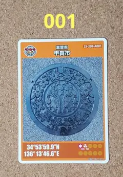 美品 マンホールカード 第29弾 東京都 東京23区 江戸川区 Q101 001
