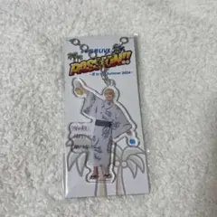 少年忍者 檜山光成 アクキー