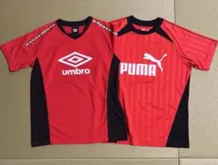 Tシャツ(160cm、Sサイズ)記名あり