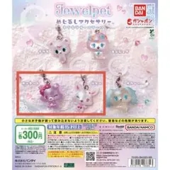 ジュエルペット めじるしアクセサリー ガーネット、ルビーセット