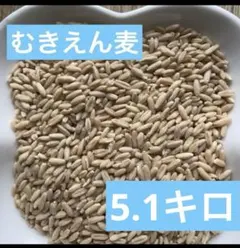 Item thumbnail for item 446864a3-5689-4b1d-ac17-66181a5a01cf