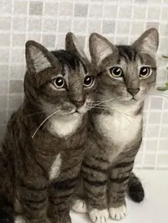 羊毛 猫 羊毛フェルト サンプルページ キジトラちゃん オーダー
