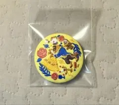 ディズニーコレクション 刺繍缶バッジ美女と野獣