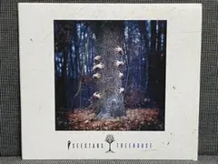 【I SEE STARS】【TREEHOUSE】【メタルコア】【ポストハードコア