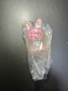 SKZOOめじるしアクセサリー DWAEKKI