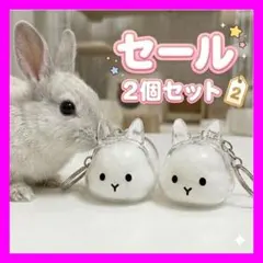 【立ち耳うさぎ 2個】うさぎの毛玉入れ キーホルダー 透明 癒し シンプル2C
