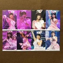 モーニング娘 生写真 ハロプロ 光井愛佳 高橋愛 道重さゆみ 新鮮まつり