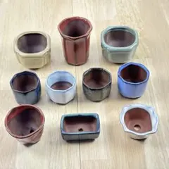 2025年最新】豆盆栽鉢の人気アイテム - メルカリ