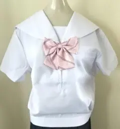 Item thumbnail for item d31cf1ca-0f72-4d35-9841-695eada1495f